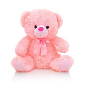 order a teddy bear for her, pink teddy bear, teddy bear and flowers, teddy bear in Nairobi, teddy bear & flowers online