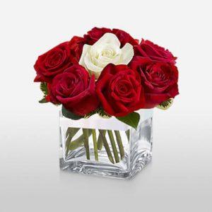 romantic flowers Kenya, red and white roses, special roses, lovely roses for her, flowers valentines