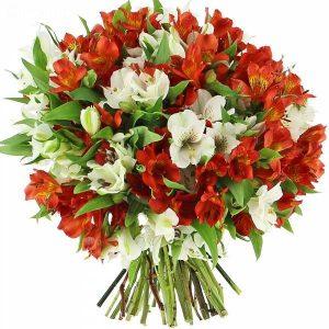 Alstroemeria, flowers in Kenya, send flowers in Kenya, best online florist in Nairobi, thank you flowers in Nairobi