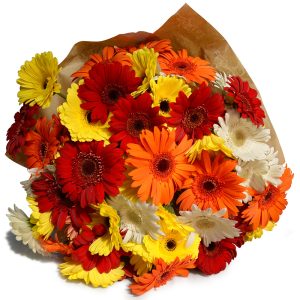 thank you bouquet of flowers for her, online thank you flowers, gerbera, flower delivery in Loresho, buy thank you flowers