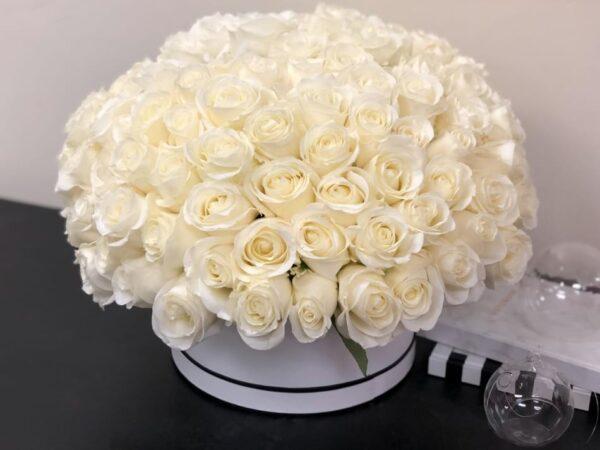 White roses, white roses in a round box, romantic flowers, unique flowers, best flowers for her