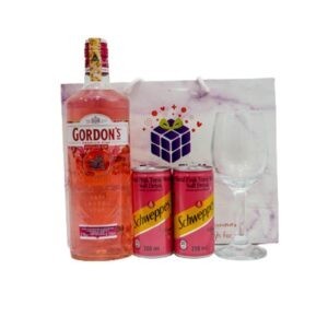 birthday gifts for girlfriend, birthday ideas for her, Gordon's hamper, same day birthday gifts, alcohol gifts,