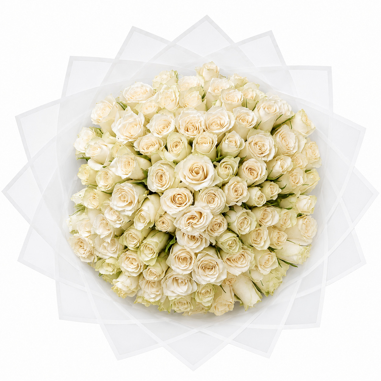 100 White Roses with Romantic Bouquet Romantic flower delivery Loresho, White flowers for love Loresho, Elegant romance flowers Loresho, Romantic flowers Loresho Nairobi, Flowers for meaningful moments Nairobi