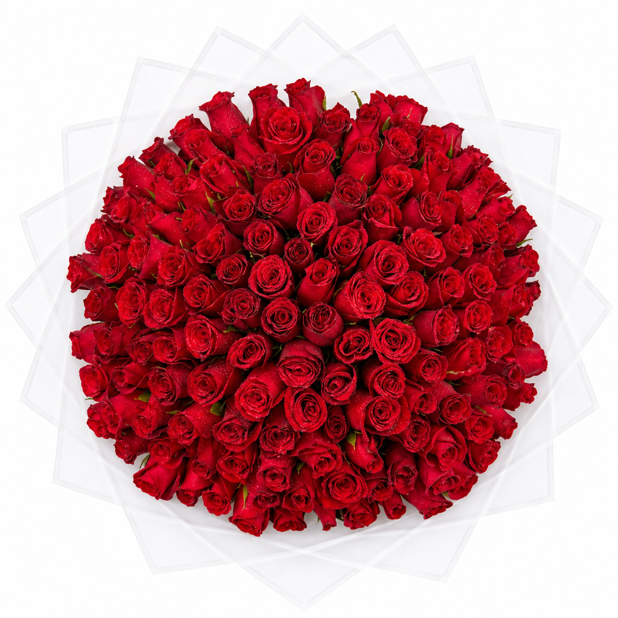 100 Red Roses Romantic Bouquet Romantic flower delivery in Kitengela, Romantic flower arrangement Kitengela, Romantic bouquet delivery Kitengela, Romantic flowers for her Kitengela Nairobi, Same day romantic flower delivery Nairobi