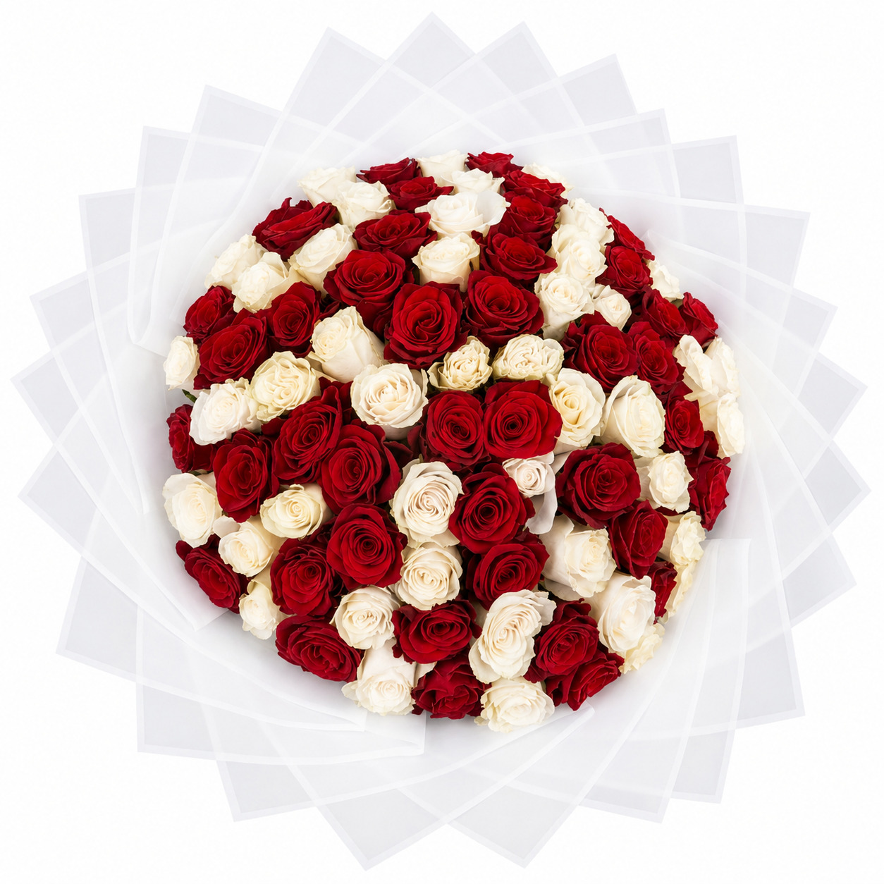50 Red & White Roses Christmas Bouquet