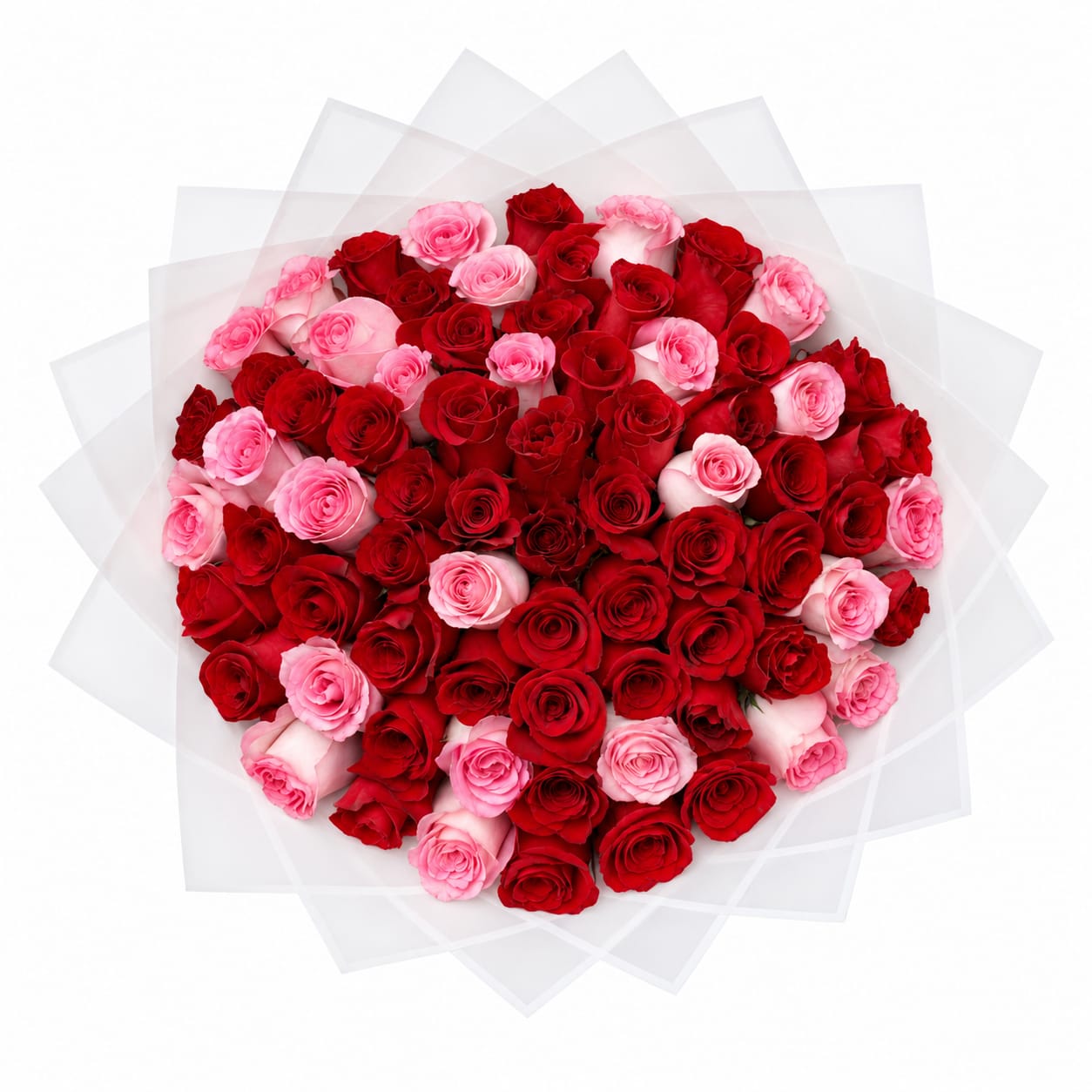 WhatsApp Image 2026-09-30 at 2.37.22 PM (3)