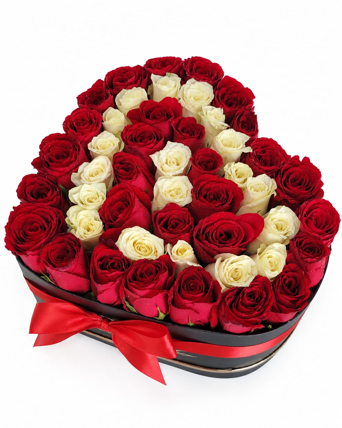 WhatsApp Image 2026-10-12 at 1.34.34 PM
