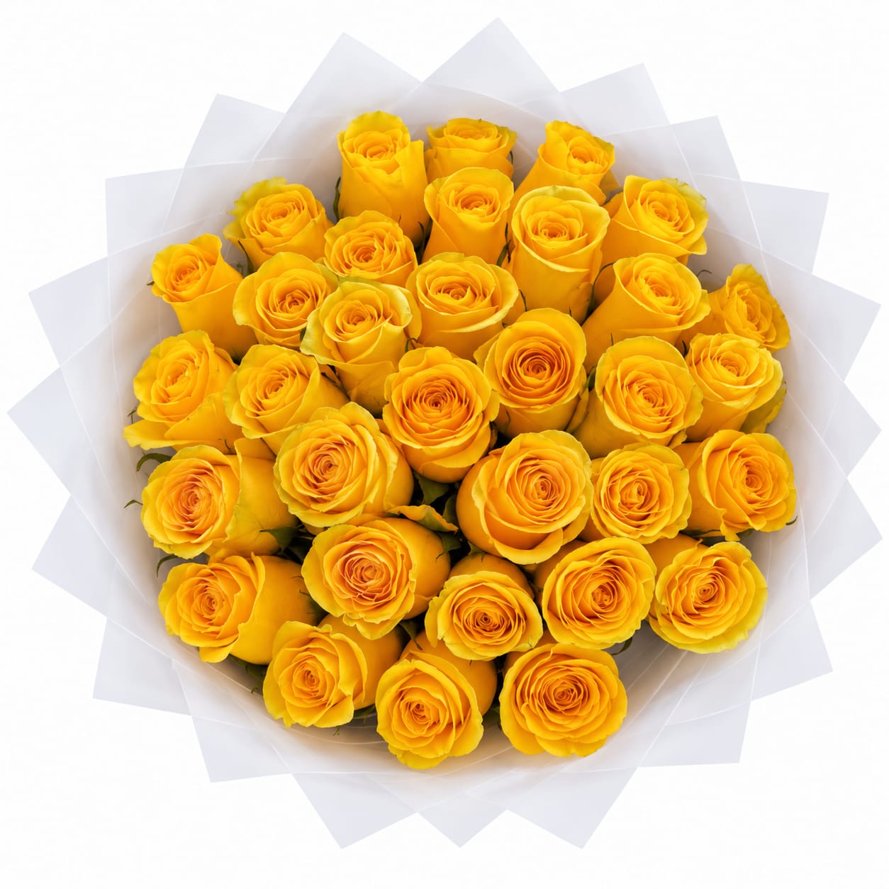 WhatsApp Image 2026-10-29 at 11.54.25 AM (2)